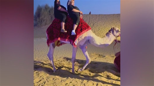 The best vacation fails