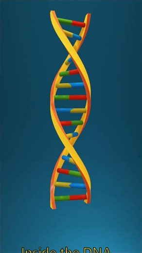 What is SNP? A One-Letter Difference in DNA 🧬
