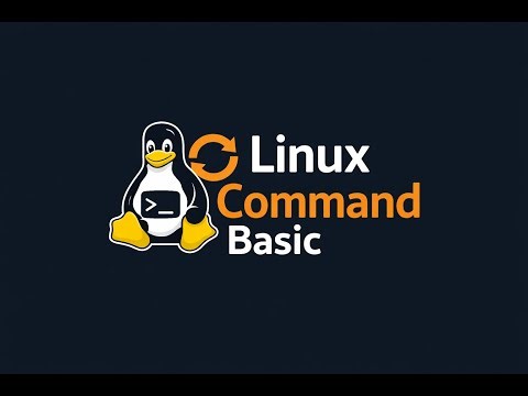 Linux Command Basic