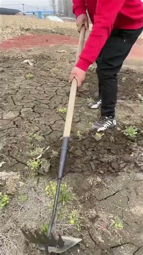 Rural Farmer #countrylife #satisfying #farmlife #agriculture # 101101