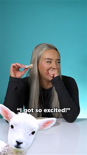 A LAMB-tastic surprise! 👀 #shorts #irish