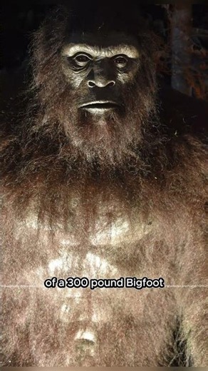 Is This the Best Bigfoot Evidence Ever?