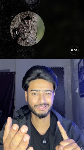 Put your one finger up if you find and hidden animal, double tap on it, where you found😱