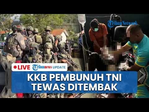 🔴LIVE: Anggota KKB DPO Pembunuh Prajurit TNI di Puncak Jaya Tewas Ditembak saat Melawan Aparat