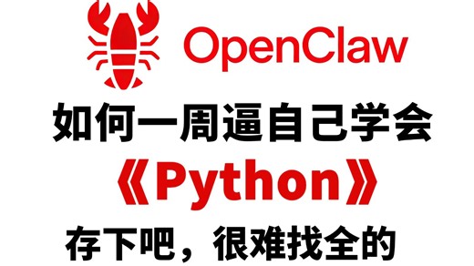 【整整600集】B站最全最细的Python零基础全套教程（包含爬虫+数据分析），从入门到精通Python，学完即可就业！看完这一套Python教程就够了！