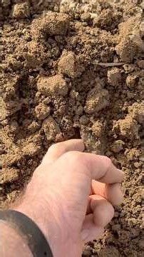 4,100 Year Old FIND OF A LIFETIME! Metal Detecting in Scotland