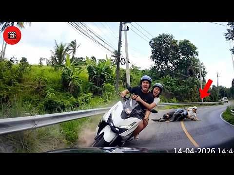 115 EPIC Idiots in Cars Moments Filmed Second Before Disaster | Best of 2026 !