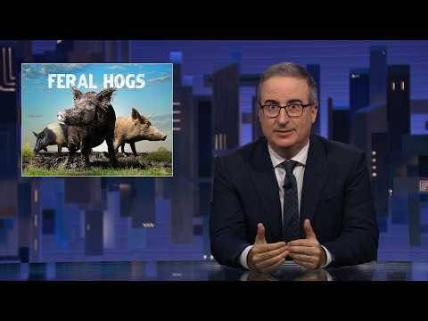 Feral Hogs: Last Week Tonight with John Oliver (HBO)