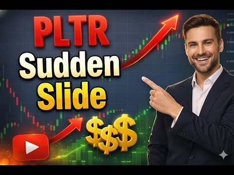 Palantir PLTR Stock Analysis | Significant Correction and Market Performance Review