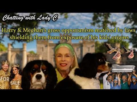 Harry & Meghan's gross opportunism matched by laws shielding them from exposure of his kids' origins