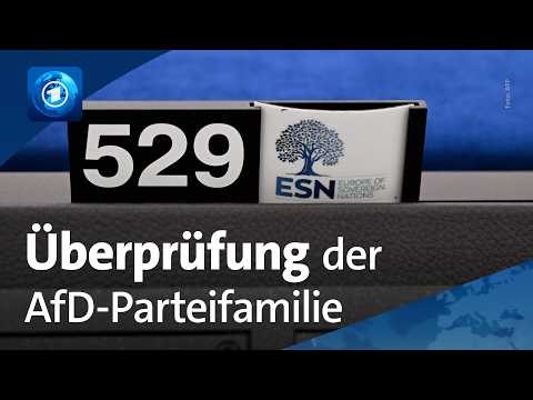 EU-Parlament für Überprüfung der europäischen AfD-Parteifamilie ESN