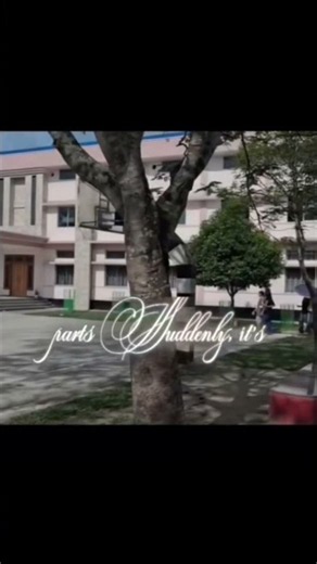 Don Bosco Boko Inside View | Boko Don Bosco High School Campus Tour 2026 | Boko Ka Best School