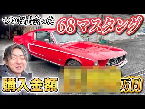 【〇〇〇〇万円！？】1968年マスタングファストバックを見に行った結果、、、