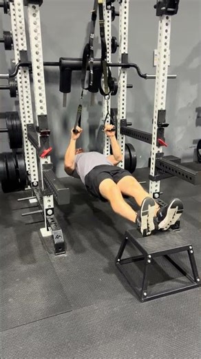 TRX Inverted Row