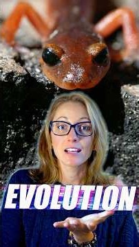 Are Ringed Species Evidence of Evolution?