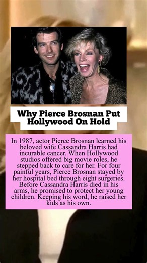Why Pierce Brosnan Put Hollywood On Hold