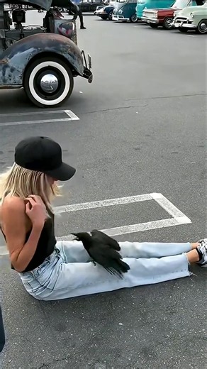 Never try to feed a crow 🐦‍⬛😲 #ytshorts #shortvideo #meme