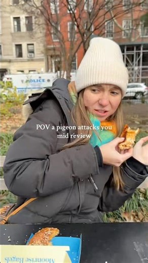 When a Pigeon Crashes Your Bagel Review