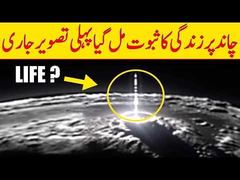 Scientist Found Proof of Life on Moon