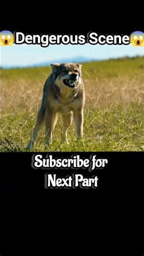 Predator’s Deadliest Hunt Scene | Invisible Alien Attack 😳#trending #shorts #feedshorts