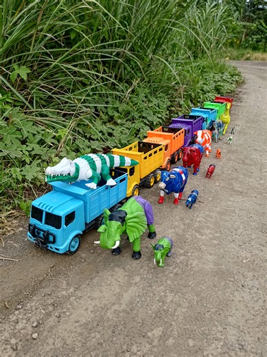 Sapi Lucu dan Hewan Berwarna Warni dalam Truk