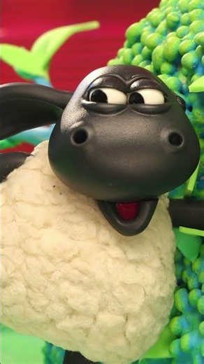 Timmy's Toy Is Back! 🎉| Learning Time with Timmy #shorts