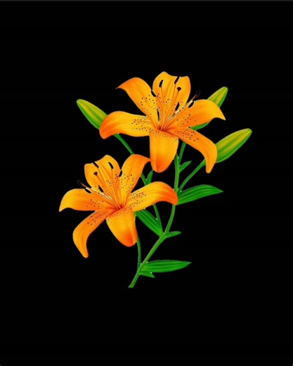 Understanding 'The Way I Are' by Timbaland