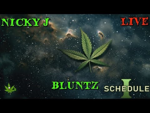 NASCAR 25 LIVE GAMEPLAY 27 LETS GO RACING