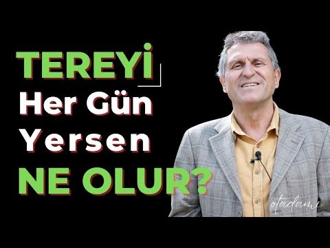 TERE’NİN FAYDALARI: BAĞIŞIKLIK, SİNDİRİM, DETOKS VE KAN ŞEKERİ DESTEĞİ