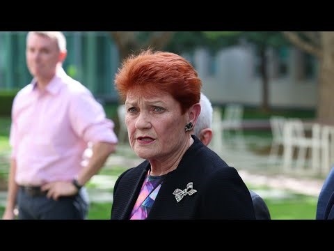 Undeclared private jet travel puts Pauline Hanson under pressure