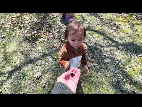 Eating what we find on our land - Enjoying Springtime Michigan Weather - Back to nature 🇺🇸 