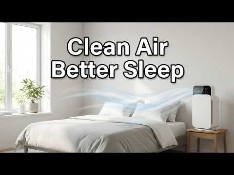 Air Purifier & Humidifier Combo (Clean Air Fast)