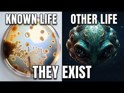We've Only Seen One Form of Life | Here's What Else Exists