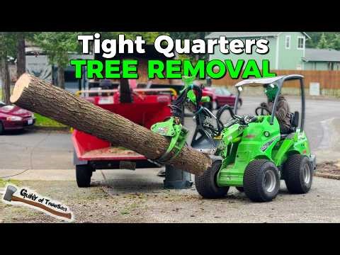 These trees were in a tight spot!! Double fir and cherry removal!