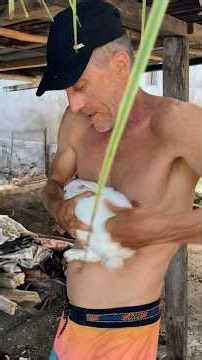 Surfer On Vacation Brings Neglected Rabbit Back To Canada | The Dodo