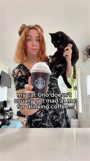 I guess my cat doesn’t like drinks that have more ears than him 🤣 #funny #catperson #starbucks #blackcat #relatable