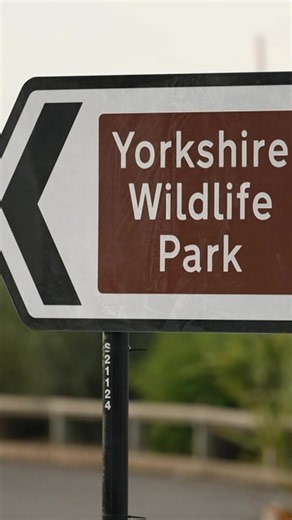 What we know about a tiger attack at Yorkshire Wildlife Park