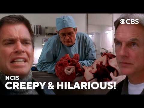 NCIS's Most Bizarre Case: "The Meat Puzzle"