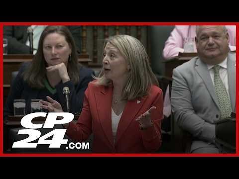 ‘To say this is a minor error is absolutely absurd’: Stiles has heated exchange over jet controversy