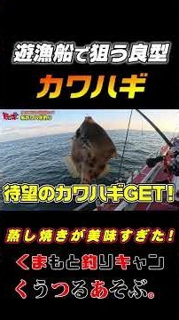 釣りたてカワハギの蒸し焼きが美味しすぎた！ #カワハギ釣り #天草釣り #釣り