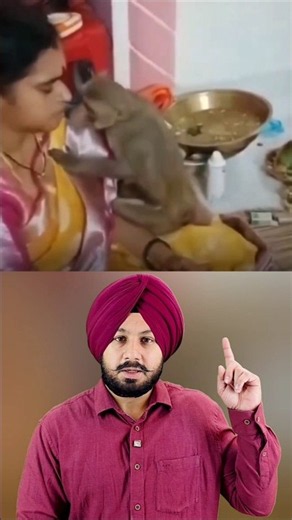 Monkey visits during Satsang | Jai Shri Ram #shorts