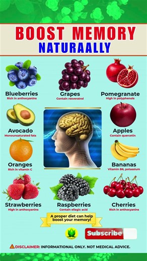 Aging Brain? These Fruits Help Memory Stay Sharp