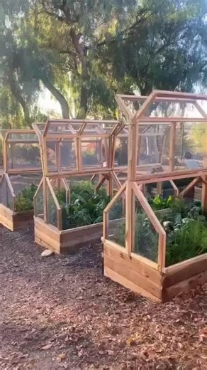 🌿Spring Hot Sale🔥🌱Double Box Garden Wooden Green House Raised Plant Bed