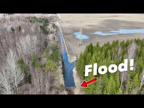 This Beaver Dam Was About to Flood Everything!