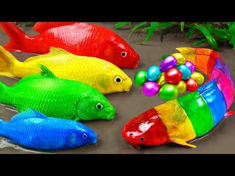 Best Of Small Fish Recipe | MINIATURE Fish Cooking Made EASY with Simple Recipe