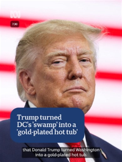 Former White House communications director Anthony Scaramucci says US President Donald Trump has turned Washington DC's 'swamp' into his own 'gold-plated hot tub'. #ABC730 #USPolitics #Trump