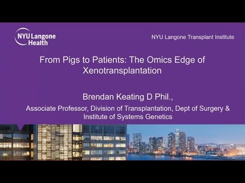 From pigs to patients The omics edge in xenotransplantation