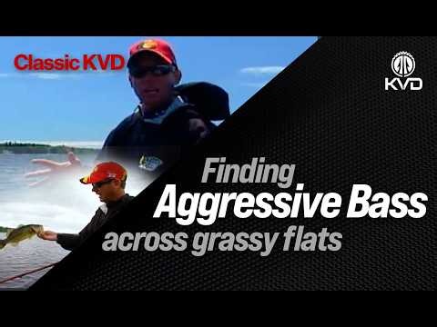 Catch huge bass across grassy flats after spawn - reading sky conditions with KVD