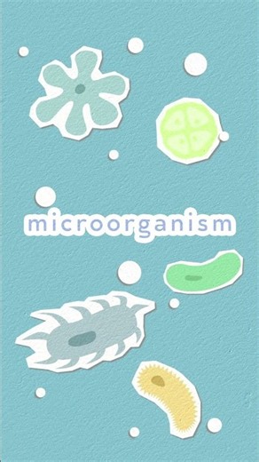 Salmonella Poisoning: What Happens Inside You #shorts