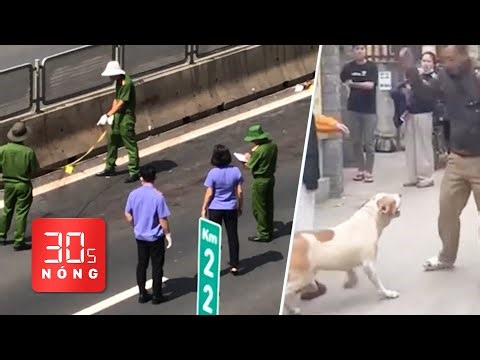 Bản tin 30s nóng: Điều tra vụ thi thể trên cao tốc; Xác minh clip xua chó cắn người